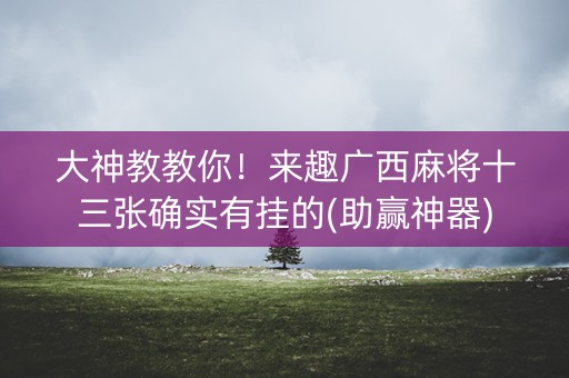 大神教教你！来趣广西麻将十三张确实有挂的(助赢神器)