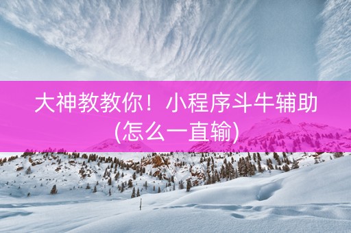 大神教教你！小程序斗牛辅助(怎么一直输)