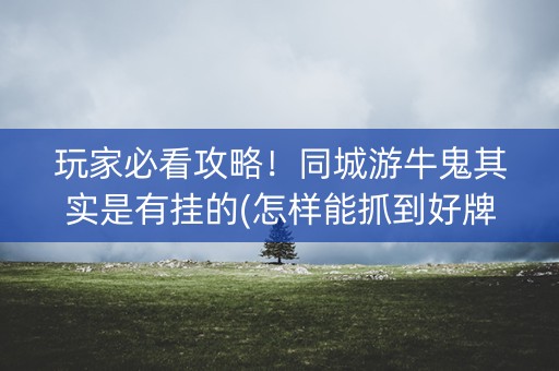 玩家必看攻略！同城游牛鬼其实是有挂的(怎样能抓到好牌)