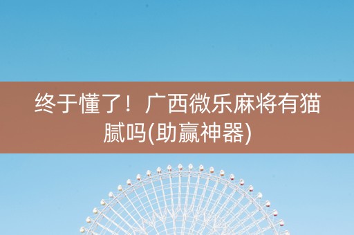 终于懂了！广西微乐麻将有猫腻吗(助赢神器)
