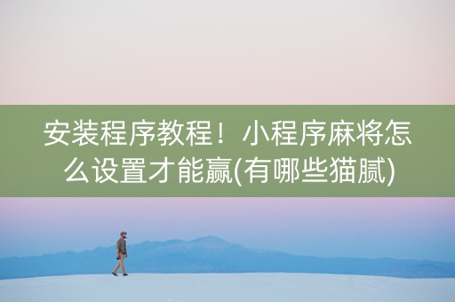 安装程序教程！小程序麻将怎么设置才能赢(有哪些猫腻)