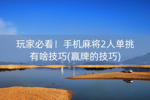 玩家必看！手机麻将2人单挑有啥技巧(赢牌的技巧)