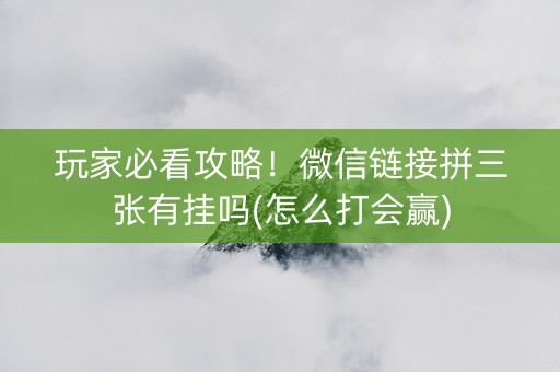 玩家必看攻略！微信链接拼三张有挂吗(怎么打会赢)