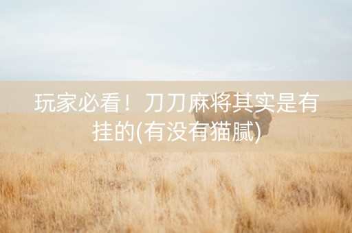 玩家必看！刀刀麻将其实是有挂的(有没有猫腻)
