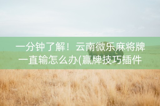 一分钟了解！云南微乐麻将牌一直输怎么办(赢牌技巧插件安装)