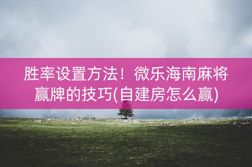 胜率设置方法！微乐海南麻将赢牌的技巧(自建房怎么赢)
