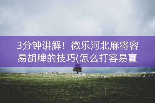 3分钟讲解！微乐河北麻将容易胡牌的技巧(怎么打容易赢)