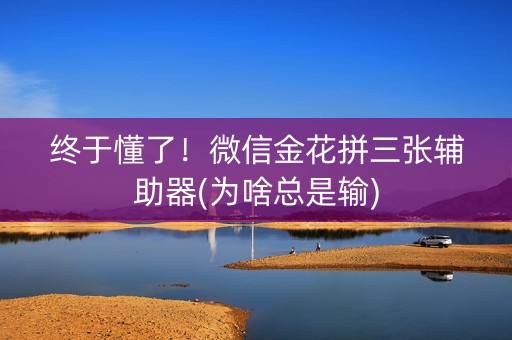 终于懂了！微信金花拼三张辅助器(为啥总是输)