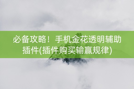 必备攻略！手机金花透明辅助插件(插件购买输赢规律)
