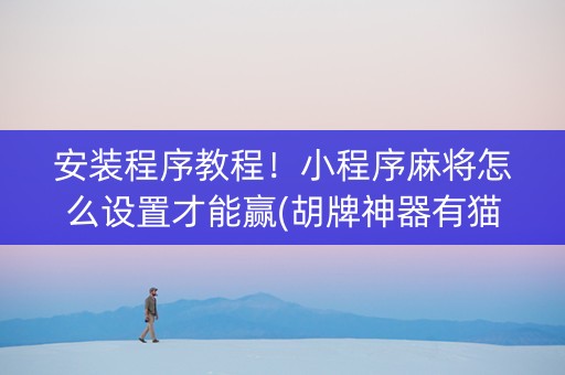 安装程序教程！小程序麻将怎么设置才能赢(胡牌神器有猫腻吗)