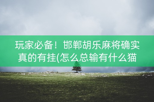玩家必备！邯郸胡乐麻将确实真的有挂(怎么总输有什么猫腻)