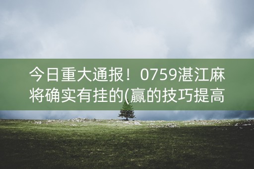 今日重大通报！0759湛江麻将确实有挂的(赢的技巧提高胜率)