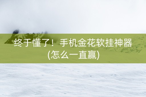 终于懂了！手机金花软挂神器(怎么一直赢)