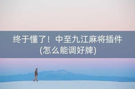终于懂了！中至九江麻将插件(怎么能调好牌)