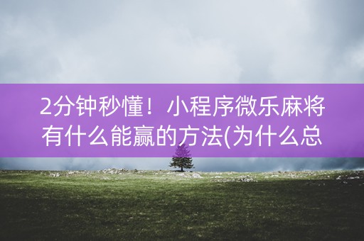 2分钟秒懂！小程序微乐麻将有什么能赢的方法(为什么总是输)