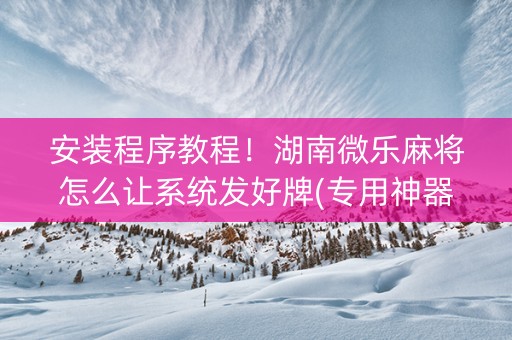 安装程序教程！湖南微乐麻将怎么让系统发好牌(专用神器下载)