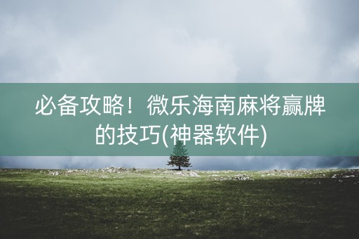 必备攻略！微乐海南麻将赢牌的技巧(神器软件)