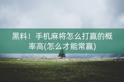 黑料！手机麻将怎么打赢的概率高(怎么才能常赢)