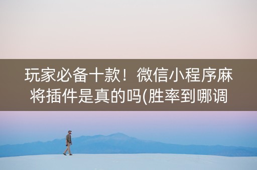 玩家必备十款！微信小程序麻将插件是真的吗(胜率到哪调)