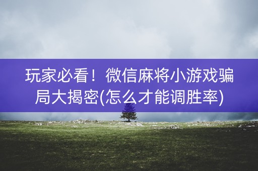 玩家必看！微信麻将小游戏骗局大揭密(怎么才能调胜率)