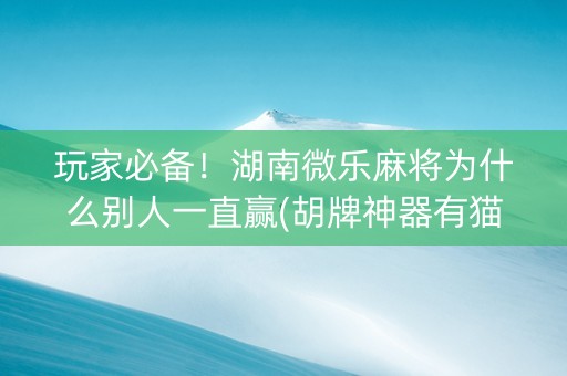 玩家必备！湖南微乐麻将为什么别人一直赢(胡牌神器有猫腻吗)