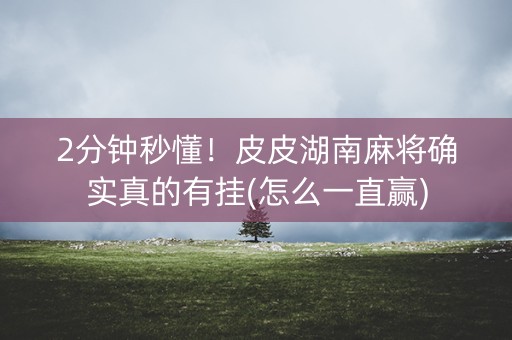 2分钟秒懂！皮皮湖南麻将确实真的有挂(怎么一直赢)