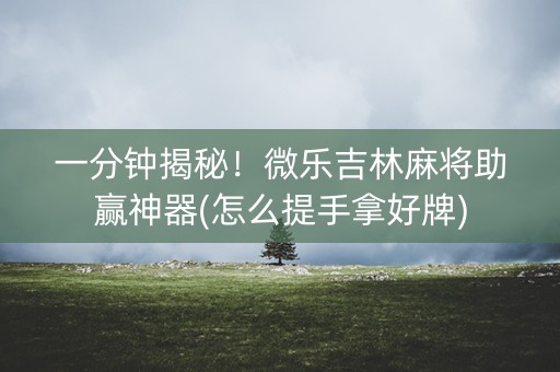 一分钟揭秘！微乐吉林麻将助赢神器(怎么提手拿好牌)