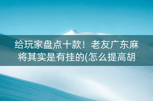 给玩家盘点十款！老友广东麻将其实是有挂的(怎么提高胡牌率)