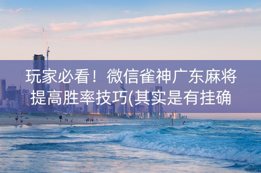 玩家必看！微信雀神广东麻将提高胜率技巧(其实是有挂确实有挂)