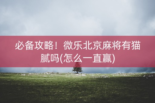 必备攻略！微乐北京麻将有猫腻吗(怎么一直赢)