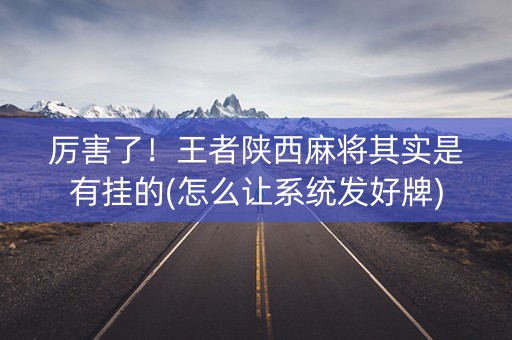 厉害了！王者陕西麻将其实是有挂的(怎么让系统发好牌)
