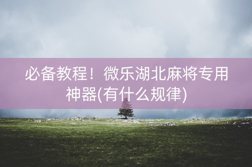 必备教程！微乐湖北麻将专用神器(有什么规律)