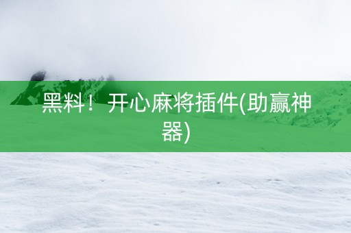 黑料！开心麻将插件(助赢神器)
