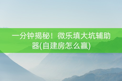 一分钟揭秘！微乐填大坑辅助器(自建房怎么赢)