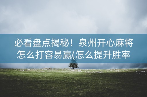 必看盘点揭秘！泉州开心麻将怎么打容易赢(怎么提升胜率)