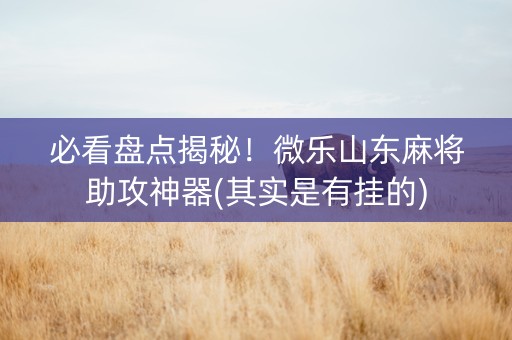 必看盘点揭秘！微乐山东麻将助攻神器(其实是有挂的)