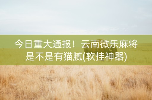 今日重大通报！云南微乐麻将是不是有猫腻(软挂神器)