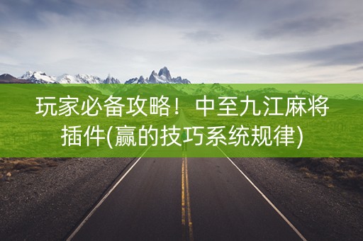玩家必备攻略！中至九江麻将插件(赢的技巧系统规律)
