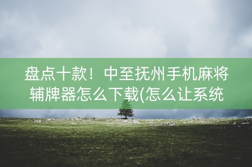 盘点十款！中至抚州手机麻将辅牌器怎么下载(怎么让系统给你发好牌)