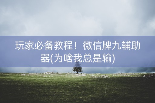 玩家必备教程！微信牌九辅助器(为啥我总是输)