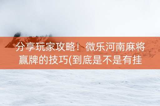 分享玩家攻略！微乐河南麻将赢牌的技巧(到底是不是有挂)