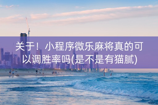关于！小程序微乐麻将真的可以调胜率吗(是不是有猫腻)