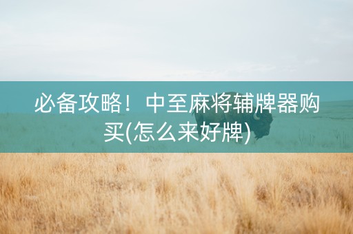 必备攻略！中至麻将辅牌器购买(怎么来好牌)