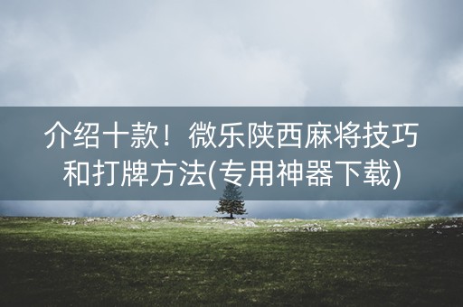 介绍十款！微乐陕西麻将技巧和打牌方法(专用神器下载)