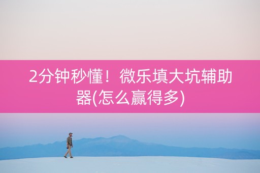2分钟秒懂！微乐填大坑辅助器(怎么赢得多)