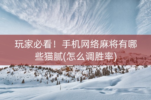 玩家必看！手机网络麻将有哪些猫腻(怎么调胜率)