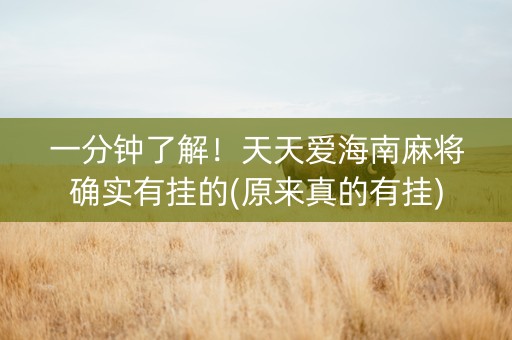 一分钟了解！天天爱海南麻将确实有挂的(原来真的有挂)