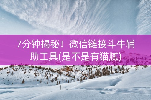 7分钟揭秘！微信链接斗牛辅助工具(是不是有猫腻)