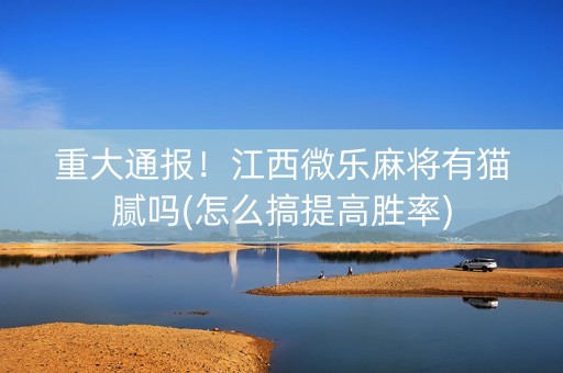 重大通报！江西微乐麻将有猫腻吗(怎么搞提高胜率)
