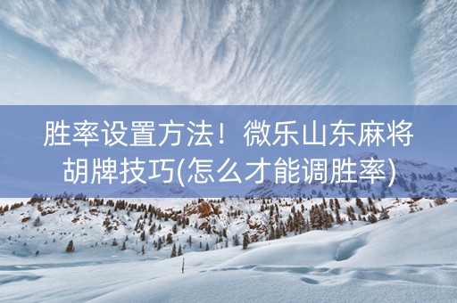 胜率设置方法！微乐山东麻将胡牌技巧(怎么才能调胜率)